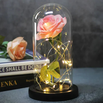 Enchanted Forever Rose Flower in Glass LED Light Christmas Decoration