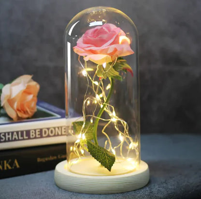 Enchanted Forever Rose Flower in Glass LED Light Christmas Decoration