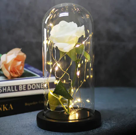 Enchanted Forever Rose Flower in Glass LED Light Christmas Decoration