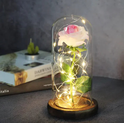 Enchanted Forever Rose Flower in Glass LED Light Christmas Decoration