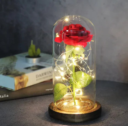 Enchanted Forever Rose Flower in Glass LED Light Christmas Decoration