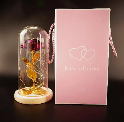 Enchanted Forever Rose Flower in Glass LED Light Christmas Decoration